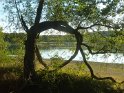 2014-09-15 18-45-04 Sur les rives du Bourdon MWils